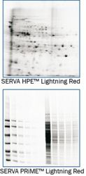 Lightning red web-s.jpg